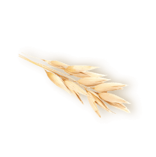 oat sliderprice | Úvod