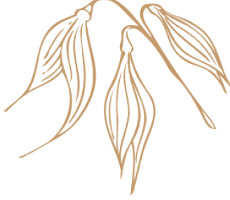 oat sliderprice2 | Ovsánek