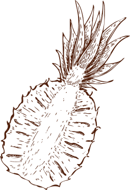 pineaple drink white | Úvod